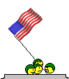 Smiley Flagge USA
      99 x 113 Pixel animiert in 7 Frames
